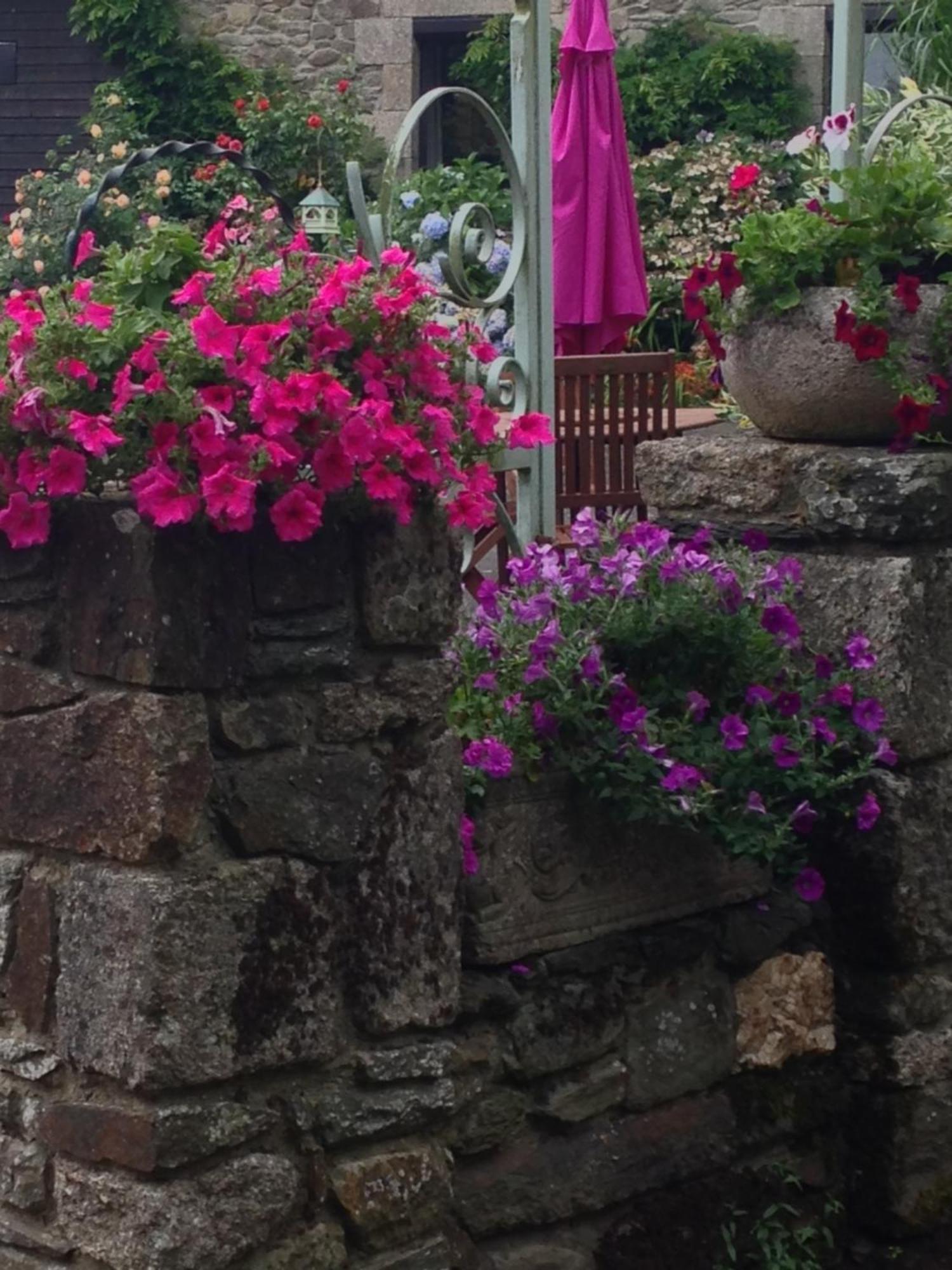 Le Petit Chateau, Matisse Noyal-Pontivy Exterior foto